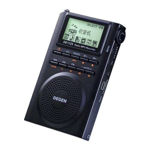 Degen DE1125 Digital Stereo FM AM SW TV Campu Radio