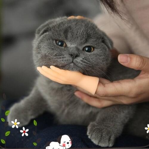 Palm Shaped Funny Mini Hands Creative Finger Cots Small Hand Tease Kitten Cats Massager Gloves Pet Interactive Toy