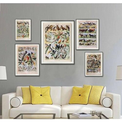 Ancient Times Animal Dinosaur insect Retro Poster Biological Graphic Teaching Study Living Room Canvas Hanging Painting Canvas