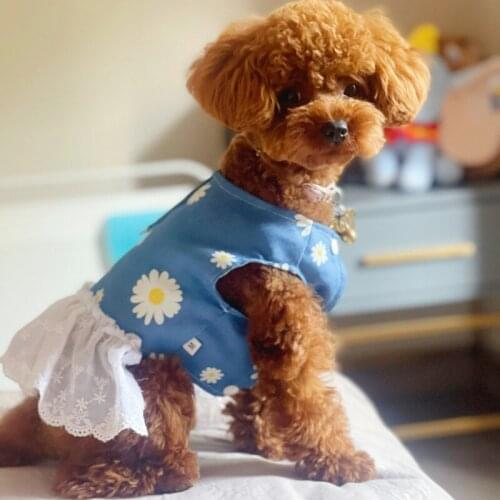 Puppy Daisy Dress Yorkshire Girl Small Doggy Costumes Poodle Formal Designer Dog Clothes For Kittens Maltese Harness Denim Skirt