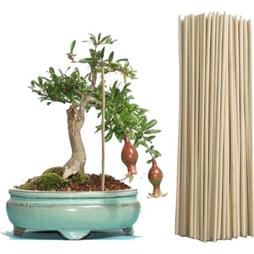 50pcs Bamboo Plant Sticks Wooden Plant Grow Support For Flower Stick Stands Agriculture Garden Bonsai Tool Canes Rod JU0123