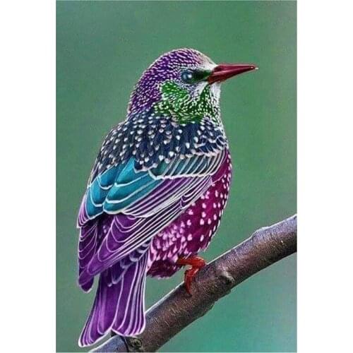 Beautiful bird on tree DIY Diamond Painting bird on the tree Diamond Embroidery bird Cross Stitch Rhinestone Mosaic Painting