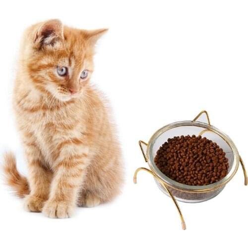 Pet Dog Cat Glass Tilted Elevated Bowl Raised Feeding Dish Food Water Slow Feeder with Metal Stand