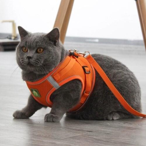 Pet Breathable Harness And Leash Set Dog Cat Polyester Mesh Super Light Reflective Chest Strap 2021 New