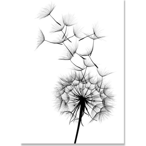 Nordic Poster Black And White Painting Dandelion Wall Art Print Poster Picture Decorative Painting Living Room Home Decoration