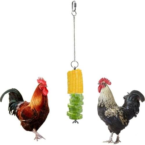 Birds Hanging Feeder Chicken Hens Cockatoo Bird Feeder Toy Stainless Steel Hanging Veggies Skewer Fruit Holder