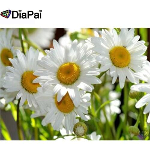 DIAPAI 100% Full Square/Round Drill 5D DIY Diamond Painting "Daisy flower" Diamond Embroidery Cross Stitch 3D Decor A21055