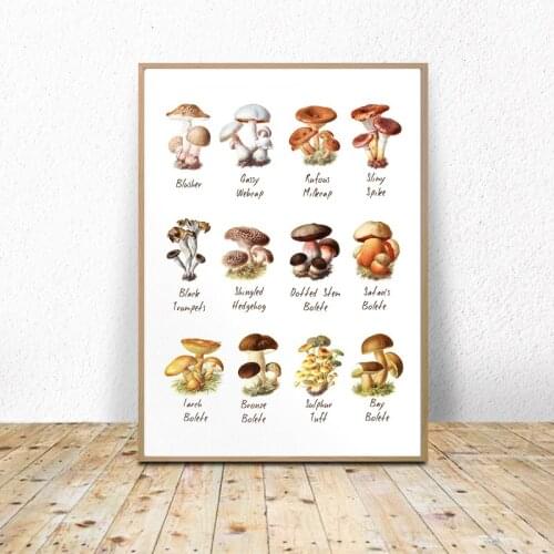 Mushroom Chart Poster Vintage Botanical Illustration Print Mycology Wall Art Canvas Painting Pictures Cottage Kitchen Decor