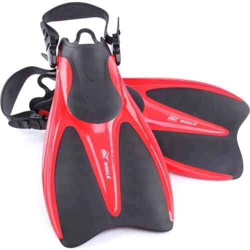 ISF Goods For Sports And Recreation