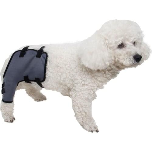 ABLAZE ZA I Costumes For Dogs