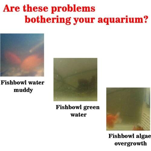 Algae Purifier Aquarium Safe Algae Remover Water Purification for Fish Tank Ponds GQ