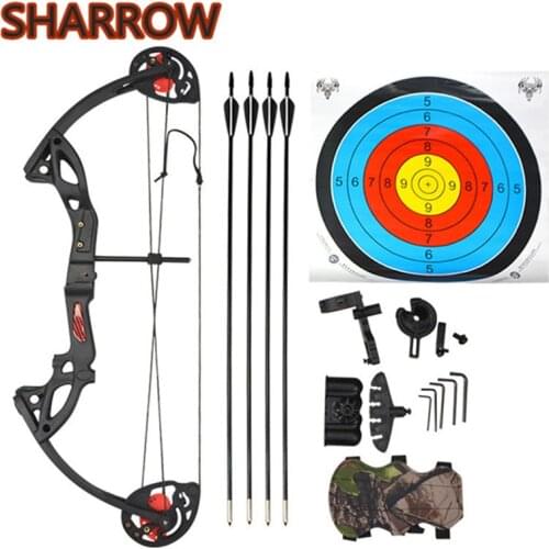 Junior Complete Compound Bow Arrow Package Set Youth 15-29lbs Children Junior Entry Level Kit 260fps Shooting Target Training