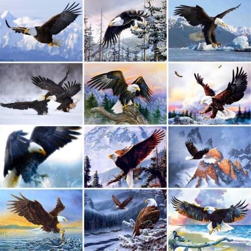 GATYZTORY Acrylic Diy Painting By Numbers Kits Eagle Animals Acrylic Paint On Canvas Drawing Coloring By Numbers For Diy Gift
