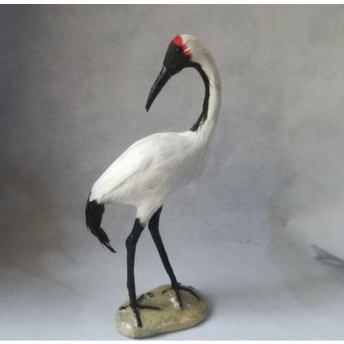 Real life toy cute white Red-crowned Crane 35x15cm model polyethylene&furs bird model home decoration props ,model gift d0671
