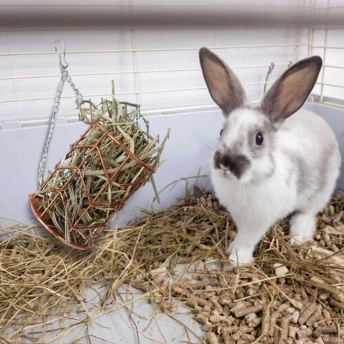 Hamster Grass Frame Rabbit Feeder Hanging Pouch Feeder Holder Feeding Dispenser With Stainless Steel Frame Hanging Grass Holder