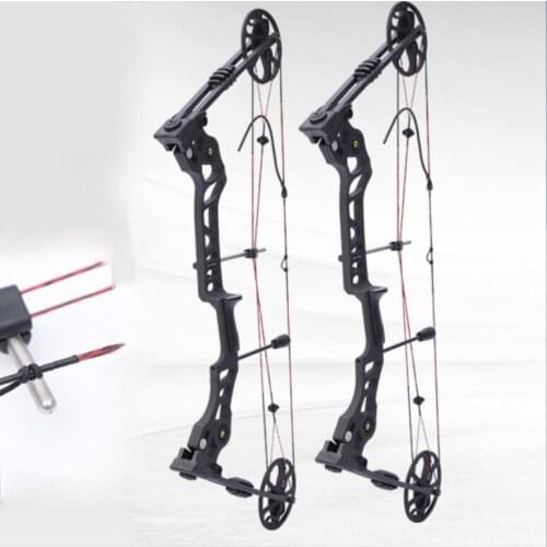 Composite Bow And Arrow High-precision Bow And Arrow Professional Archery Bow Is Not Junxing Arrow Archery Sports Pulley Bow
