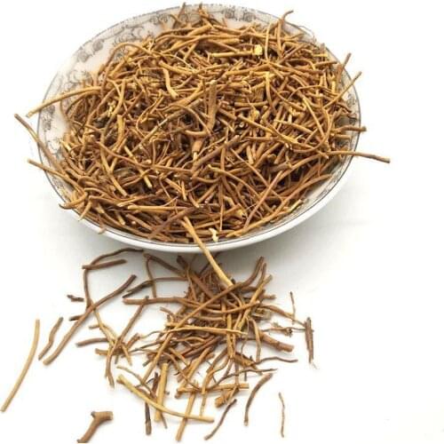 Gentian Root Radix Gentianae Long Dan Cao Gentiana Scabra