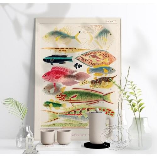 Retro Ocean Sea Fish Watercolour Sketches Poster, Biology Painting Art Wall Pictures, Cartoon Kids Room Creche Home Decor Gift