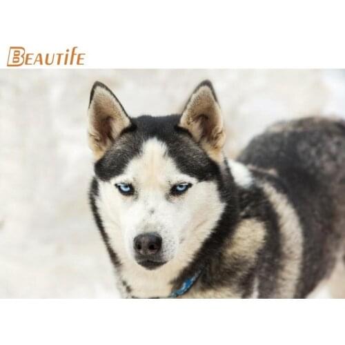 Hot Sale Custom Wolf Poster Home Decoration Fashion Silk Fabric Wall Poster Custom Poster S007