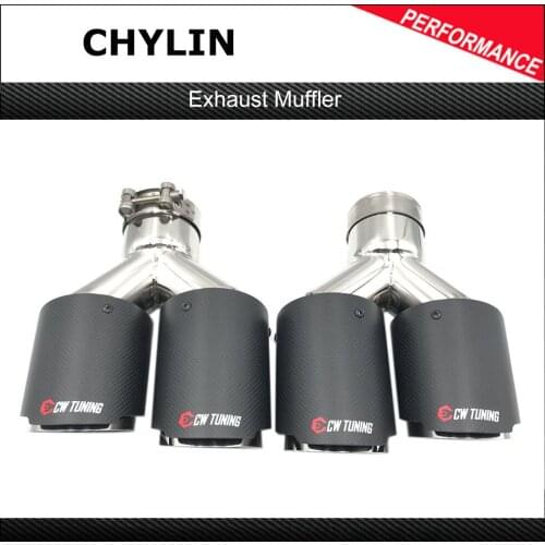 1 Pair:Dual Matt Carbon Fiber +304 Stainless Steel Universal Car Exhaust Tip Double End Pipe for BMW For BENZ For Ak