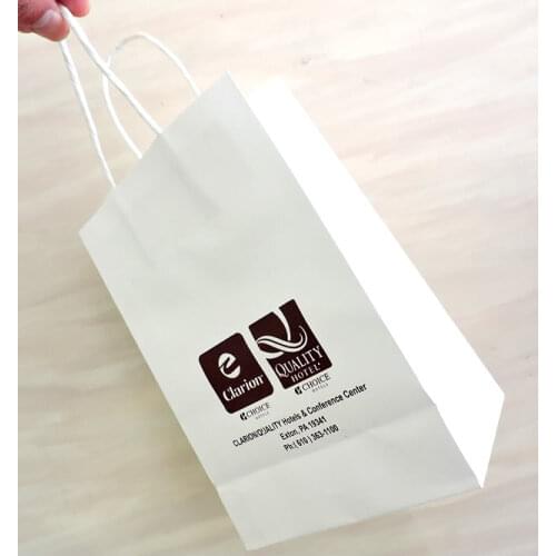 21x27x11cm custom printed shopping gift kraft paper bag /Recyclable shopping bag
