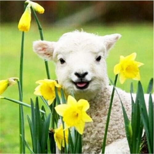 Full Drill Square/Round Diamond Painting Animal Lion Pictures Of Rhinestones Diamond Embroidery Mosaic Cross Stitch Decortion