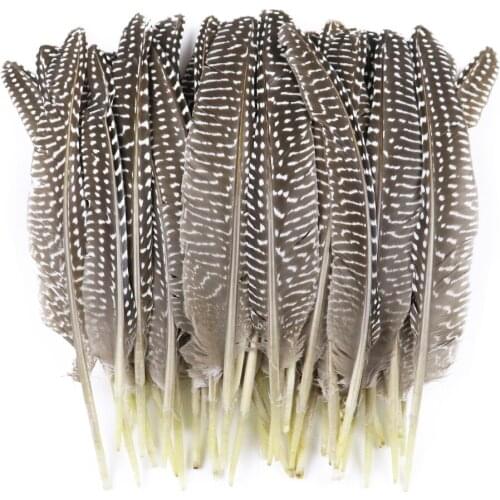 10Pcs Wholesale Natural Guinea Fowl Feather 20-25 CM/8-10 Inches Pheasant Decoration Feathers for Jewelry Making Wedding Plumes