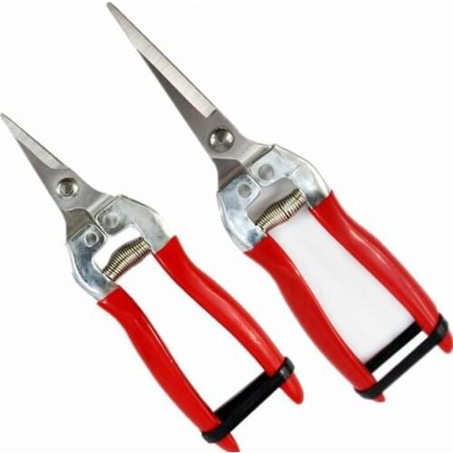 Stainless Steel Tree Pruning Garden Shears Grass Fruit Cutter Gardening Scissors Branch Pruners MAZI888