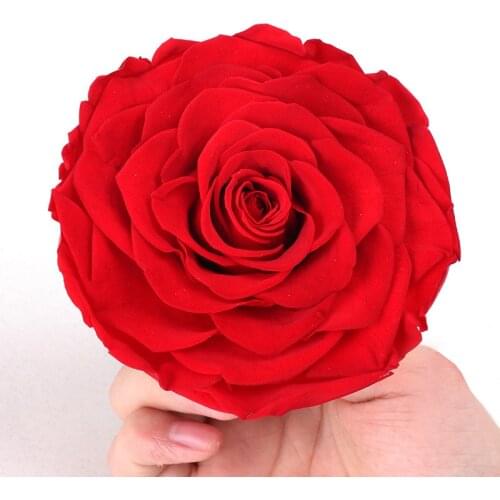 1PCS/10CM Diameter Preserved Rose Large Flower Head Real Gift For Mom Girlfriend Wedding Valentines Day DIY Home Decor