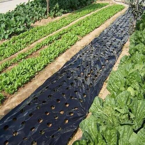 1pc Plastic Perforated Mulch PE Agricultural Insulation Perforated Film 95CM*10 Meters Vegetable Plants Grow Film Greenhouse