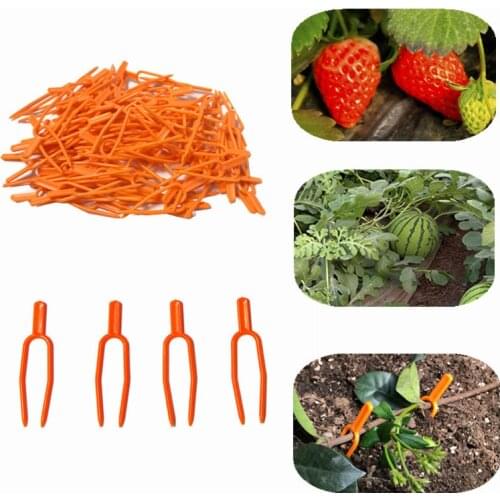 100PCS Plastic Quality Plant Clips Fastening Fixture Device Strawberry Fork Farming Planting Vine Support Clamps Garden Supplies