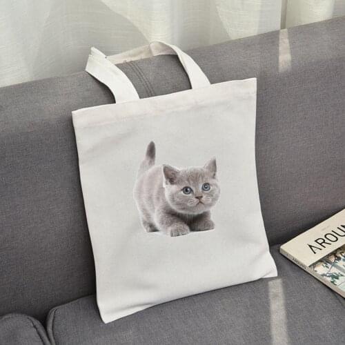 Original Fashion 2021 Womens Tote Bag Canvas Shopping Bag Cute Cartoon Cat Student Girl Shoulder Bags Dog Animal 3d Print