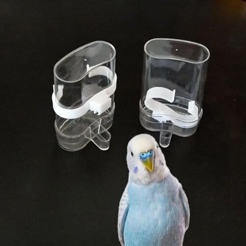 White Bird Water Feeder Plastic Feeding Automatic Drinking Bowl Dispenser Pet Supplies Suitable For Parrot Feeding Supplies