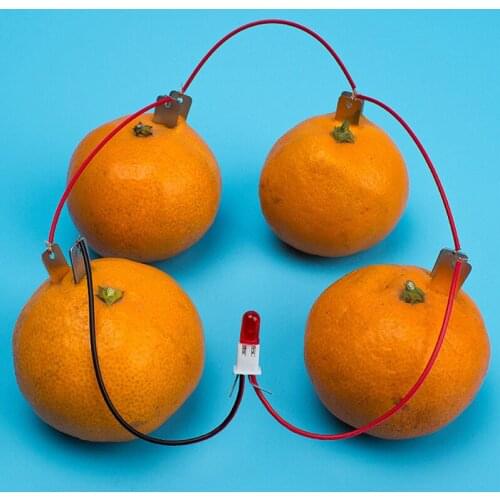 1 Set Children Bio Energy Science Kit Potato Fruit Supply Electricity Experiment