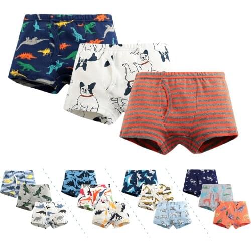 HFFOYO Underwear For Girls