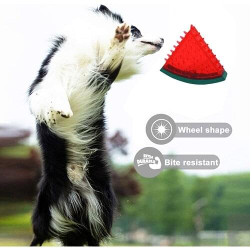 TPR Sounding Fruit Shape Dog Toys Cooling Sounding Bite-Resistant Frozen Puppy Molars Chew Bite Teddy Puppy Supplies