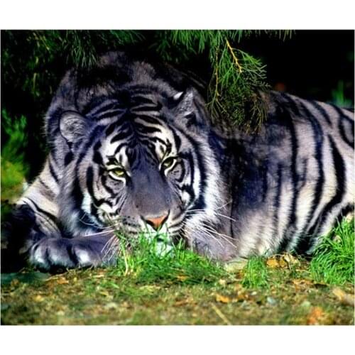 Full square diamond painting animals tigers rhinestone embroidery art mosaic sticker decor diamond dots poster wall paper craft