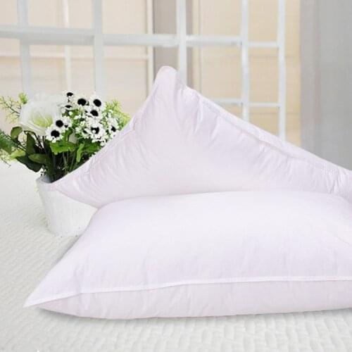 Single pillow 90% white goose down pillow queen 20*30 inches white filled 25 oz Fill power 800+ white goose down free shipping