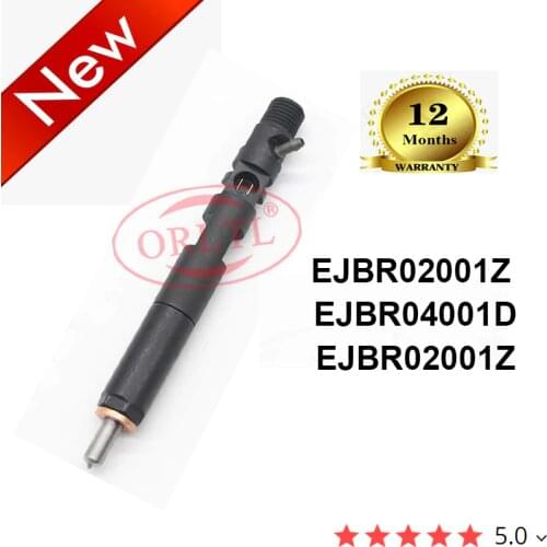 ORLTL Diesel Fuel Injector EJBR04001D 166009384R 82 00 567 290 28232242 EJBR03501D 253401160119 EJBR02001Z for Renault