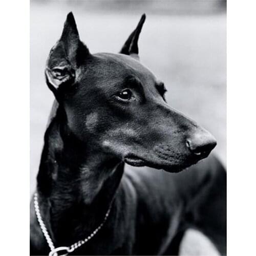 Full DIY 5D Black Pet Dog Children Gift Diamond Painting Doberman Cross Stitch Embroidery Mosaic Pattern Home Decor FC610