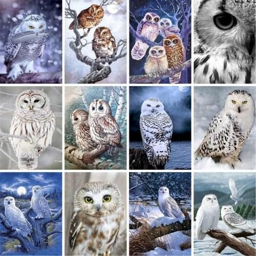 GATYZTORY Acrylic Diy Painting By Numbers Kits Owl Animals Acrylic Paint On Canvas Drawing Coloring By Numbers For Diy Gift