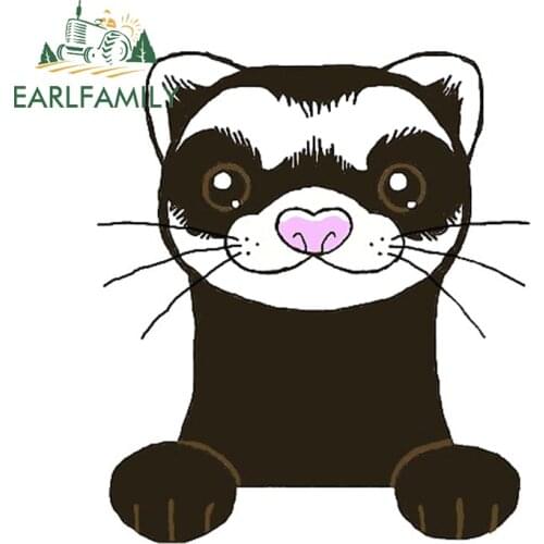 EARLFAMILY 13cm x 11.3cm for Ferret Camper Car Stickers Anime DIY Occlusion Scratch Waterproof Decals Custom Printing Decor