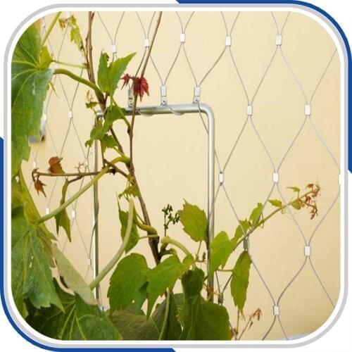 Home decor ferruled inox wire rop mesh balustrade infill panel/wire mesh fence