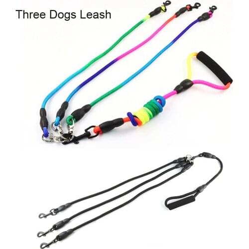  Dogstory China