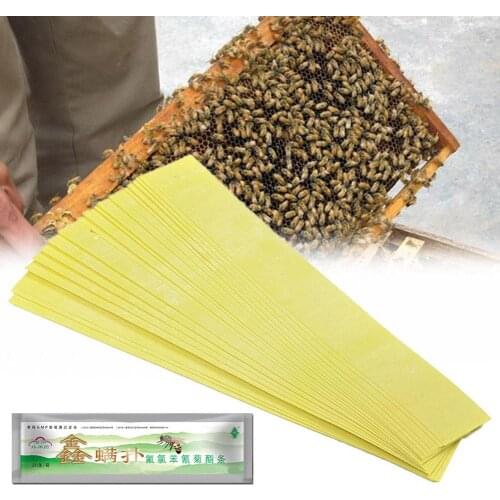 20pcs Bee Mite Medication Bees Mites Killer Strip Acariacide Fluvalinate Strips Mite Instant Killer Miticide Bee Medicine Mite