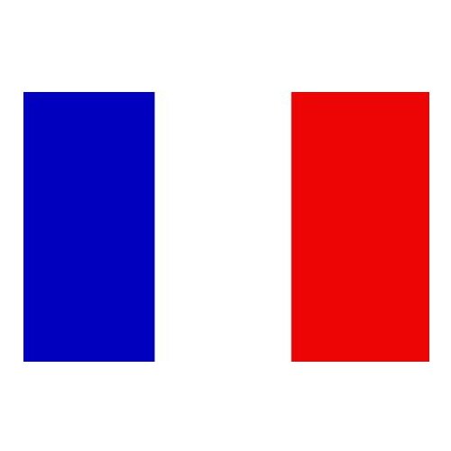 France Flag Activity Decorative Banner 90x150cm