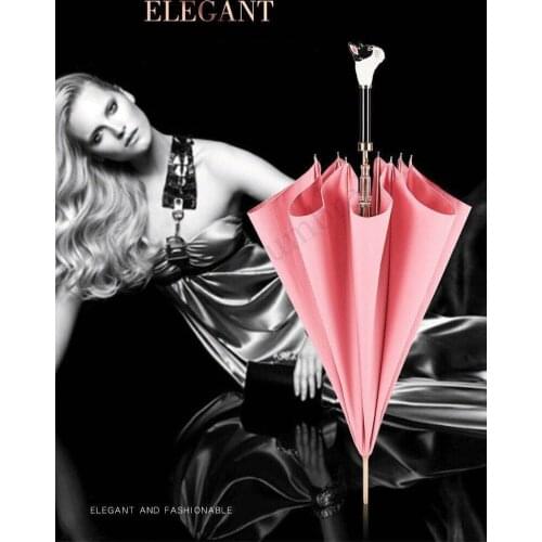 Hex angular golden shaft auto open anti-thunder fiberglass jacquard weave acrylic umbrella straight animal T show model parasol