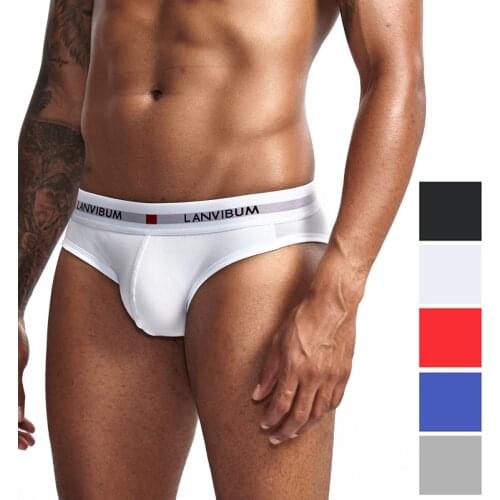 2019 New Sexy Men Cotton Underwear Breathable Mens Briefs Underpants Comfortable Gay Underwear penis Cueca Male Panties Shorts