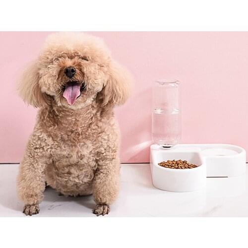 New Corner Pet Dog Bowl Small And Medium Dog Cat Bowl Automatic Cat Water Dispenser Pet Supplies Plastic Double Bowl For Dog