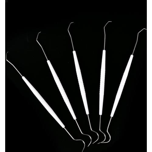10 x Dental Explorers Stainless Steel Double Hook Tooth Dentalist Probe Materials Dentist Tool Set